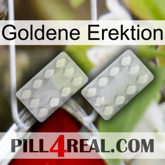 Golden Erection 17